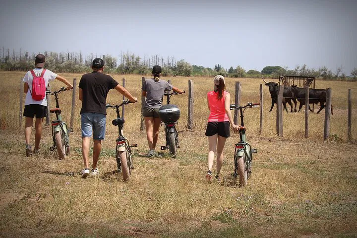 Camargue E-Bike Safari: Explore Aigues-Mortes' Wild Beauty