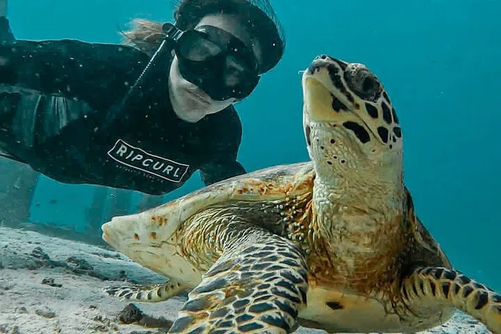 Discover Paradise: Unforgettable Similan Islands Private Tour