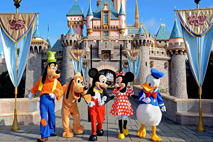 Disney Hotels-LAX Private Airport Transfer