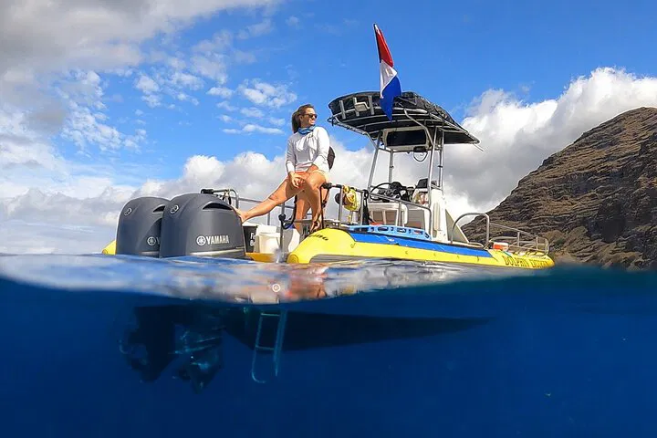Oahu Dolphin Snorkel: Guaranteed Wild Dolphin Sightings!