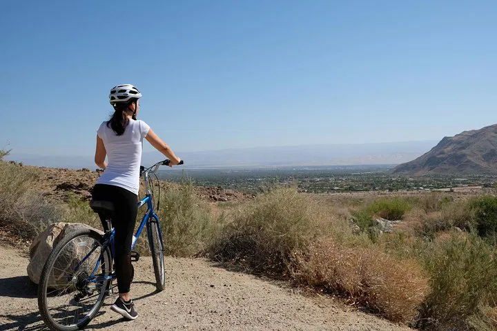 Palm Springs Indian Canyons: Pedal Through History & Nature's Majesty