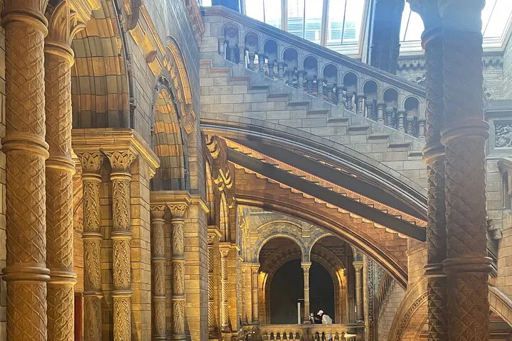 Natural History Museum: Women's Untold Stories Tour