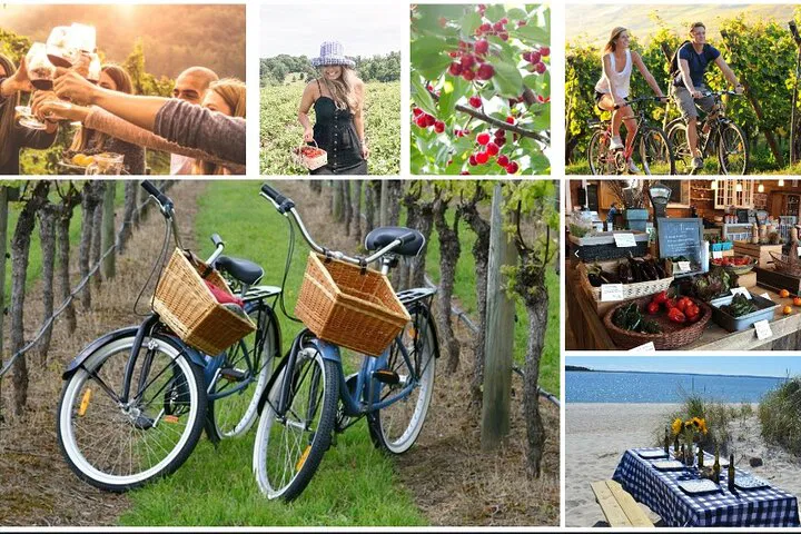 Uncork Adventure: Guided Bike & Wine Tour in Mattituck, NY