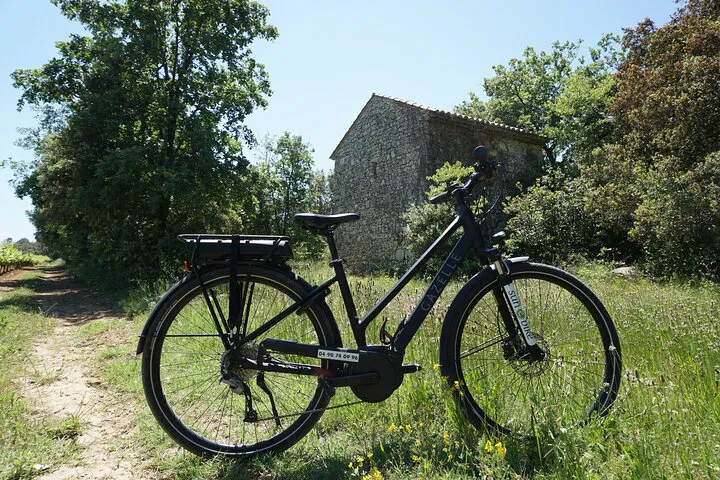 E-Bike & Art: Explore Provence & the Carrières de Lumières