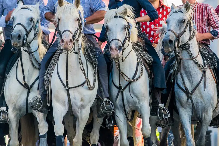 Explore Camargue's Wonders: An Immersive Day Trip from Avignon