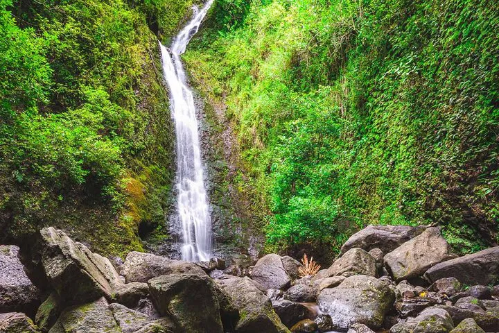 Oahu: Hike to Manoa Falls & Tantalus Lookout Views
