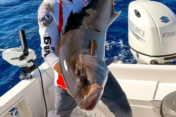 Saint Laurent du Var: Private Sport Fishing Adventure Awaits!
