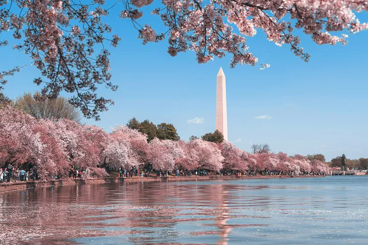 Tidal Basin's Iconic Memorials: A Guided Walking Experience