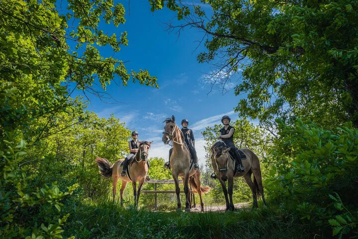 Fontainebleau Day Trip: Royal Horseback Adventure, Gourmet Delights & Castle Secrets