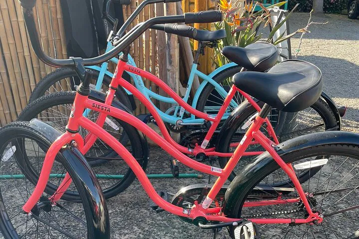 Beach Cruiser Bliss: Explore Solana Beach on Two Wheels