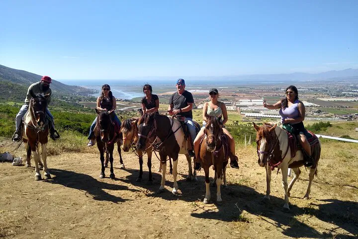 Ensenada Trailblazing: Horseback Adventure Through Desert Peaks