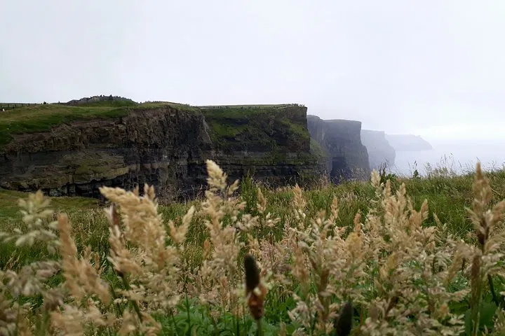 Explore Cliffs of Moher & Galway: An Immersive Spanish Tour!
