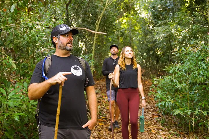 Discover Maui's Hidden Paradise: Honolua Ridgeline Hiking Adventure
