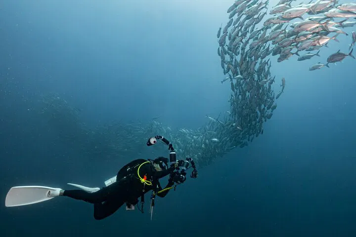 Similan Islands Scuba Adventure: 2-Day Dive Trip from Phuket!