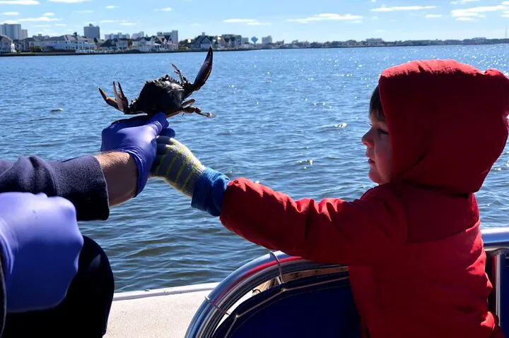 OC Bay Hopper Crabbing: Catch Your Own Crabs!
