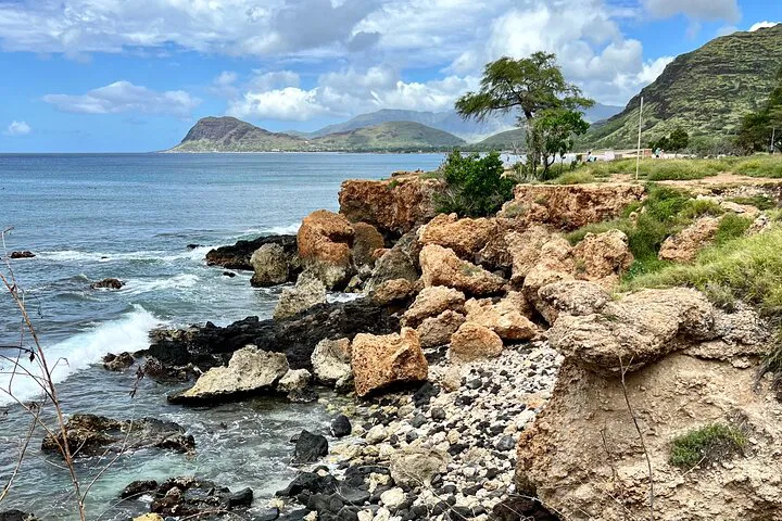 Glide Through Paradise: Electric Beach Snorkeling & Dolphin Adventure