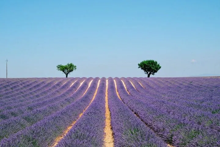 Lavender Fields & Verdon Gorge: Aromatic & Turquoise Dream Tour