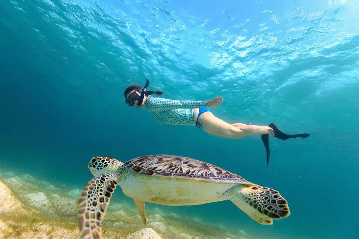Waikiki Turtle Canyon: Snorkel Adventure in Paradise!