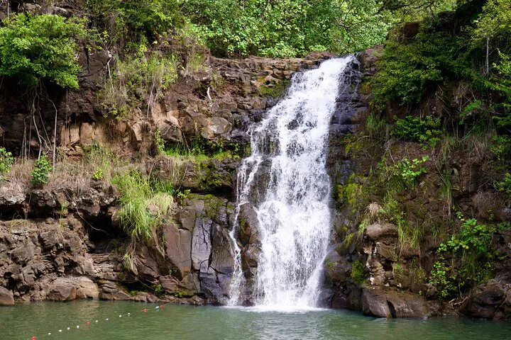 Oahu North Shore Private Tour: Waimea Falls & Hidden Gems