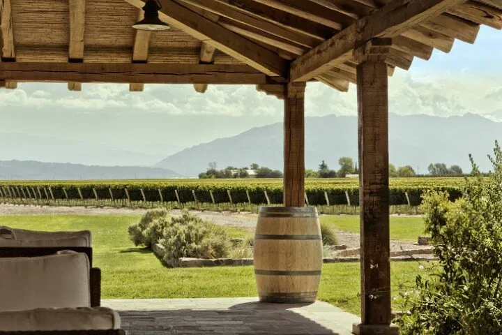 Uncork Niagara: A Guided Wine Tour Adventure Through Ontario's Finest Vineyards