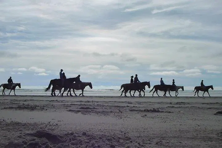 Ensenada Adventure: Horseback Riding & Zipline Thrills at Las Cañadas Ecopark