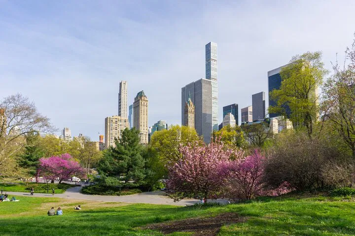 Central Park Private Tour: Uncover NYC's Oasis with a Carousel Ride