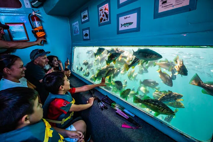 Redondo Beach Glass Bottom Adventure: Sea Lions & Underwater Views!