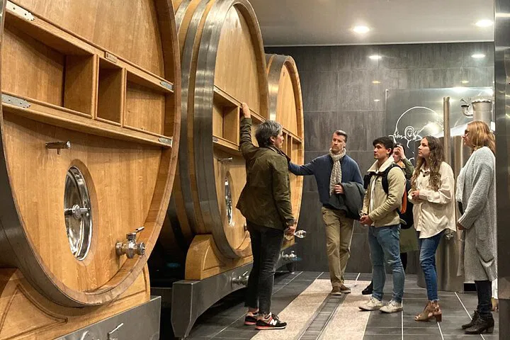 Unlocking Champagne's Secrets: A Winemaker's Exclusive Journey