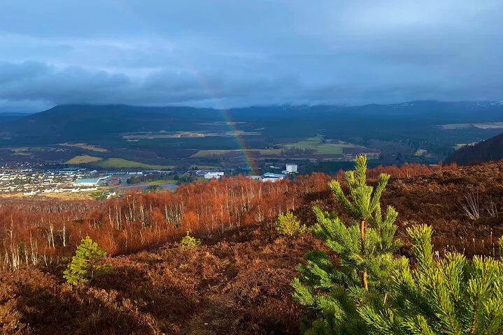 Cairngorm's National Park Private Tour: Uncover Highland History & Beauty