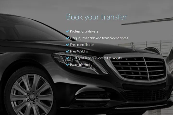 Paris Private Car Tour: See the City in Style!
