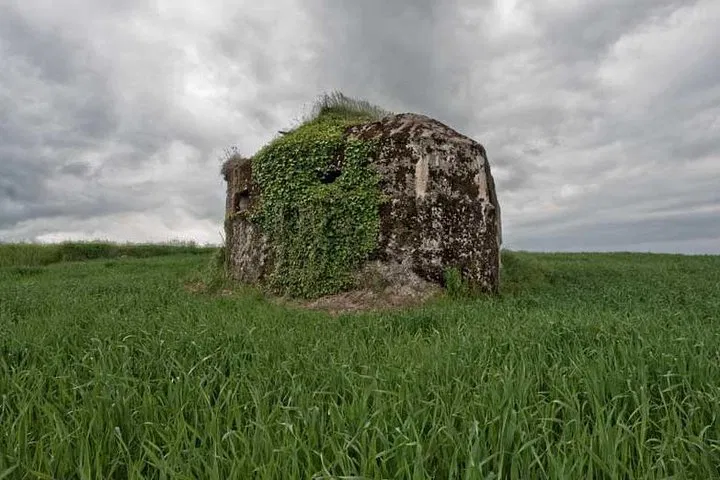 Argonne Forest: Relive WWI History on a Guided Battlefield Tour