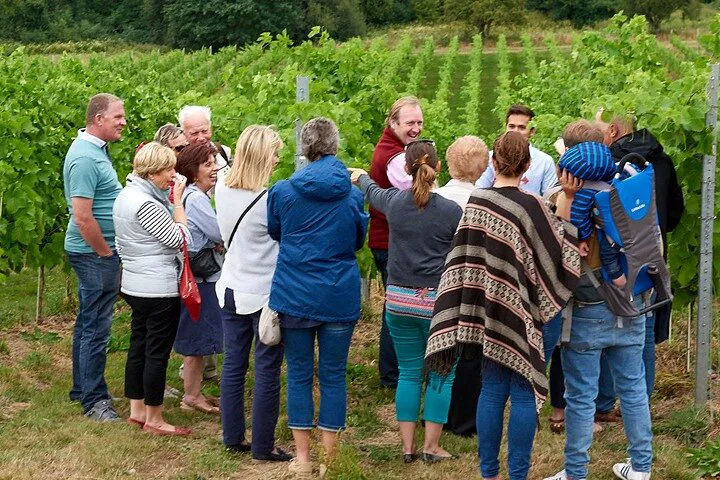 Liverpool Wine Tour: Vineyard Tasting & 3-Course Lunch