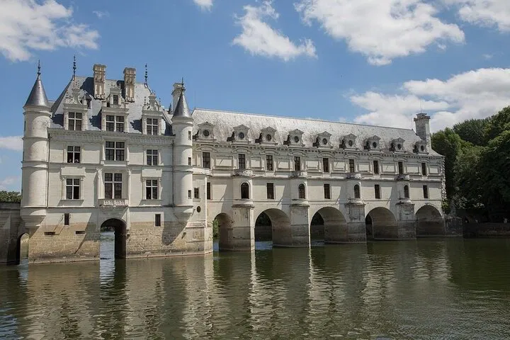 Loire Valley Dream Day: Private Châteaux & Wine Tour from Paris
