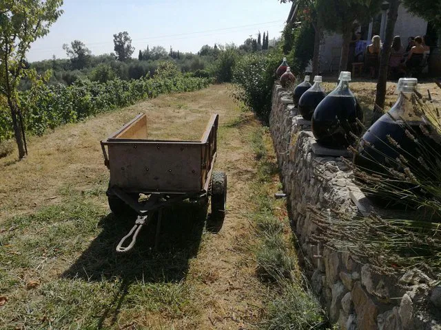 Nice & Provence Uncorked: Wine Tasting & Medieval Village Tour