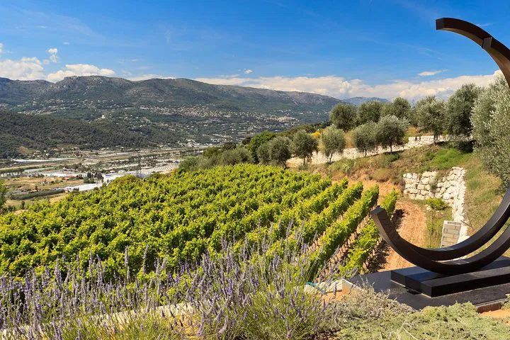 Nice: Bellet Wine Tour & Saint-Paul de Vence Day Trip