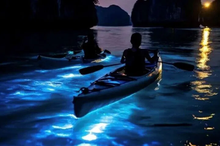 Phang Nga Bay: Twilight Canoe & Bioluminescence Adventure