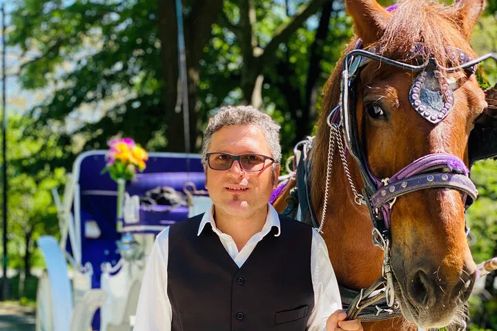 Central Park Horse Carriage Ride: A Timeless NYC Experience