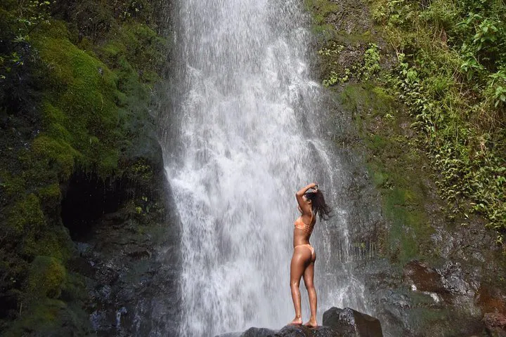 Oahu's Dream Itinerary: Private Circle Island Tour