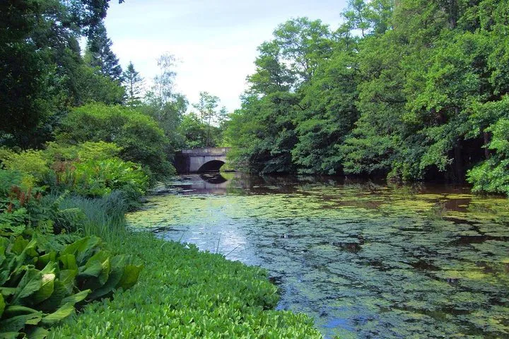 London's Garden Gems: A Bespoke Country Garden Private Tour