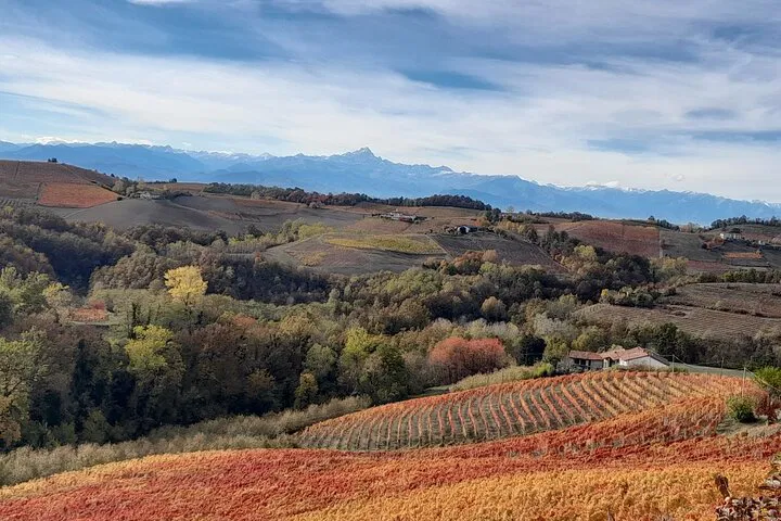 Monviso Views & Zero KM Wine: A Piedmont Tasting Adventure