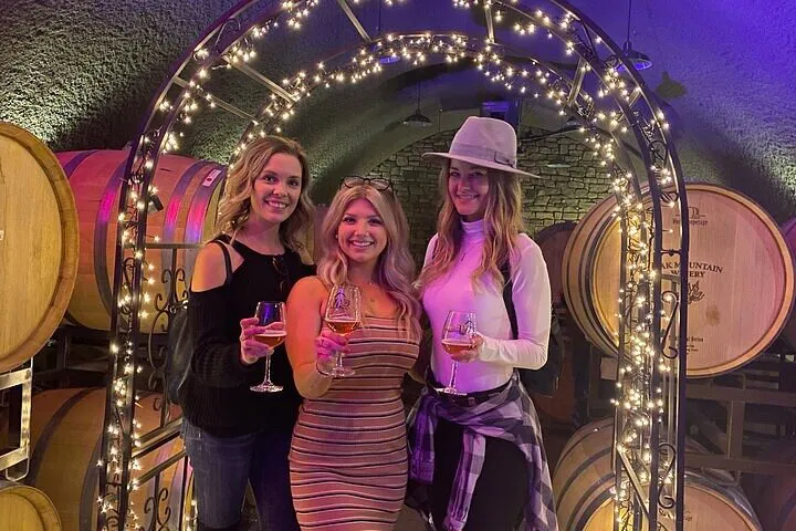 Temecula Wine Tour from Anaheim: Taste & Explore!
