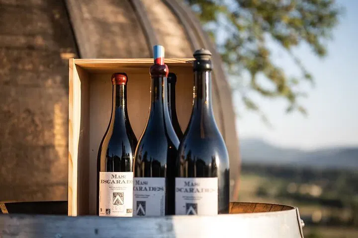 Vineyard Views & Vintage Vibes: Wine Tasting at Mas des Escarades