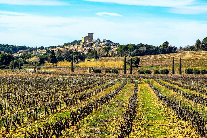 Rhône Valley Wine Tour: 2-Day Vineyard Discovery