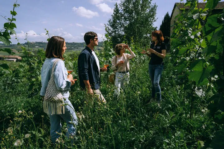 Discover Authentic Piedmont: A Sommelier-Guided Wine Adventure