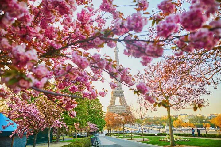 Paris Private Tour: Unveiling the City of Lights with a Local Expert