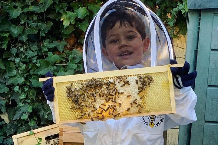 Uncover London's Secret Apiaries: A Beehive Discovery Adventure