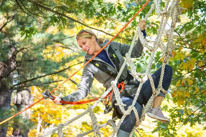 WildPlay Thacher: Conquer the Canopy Adventure!