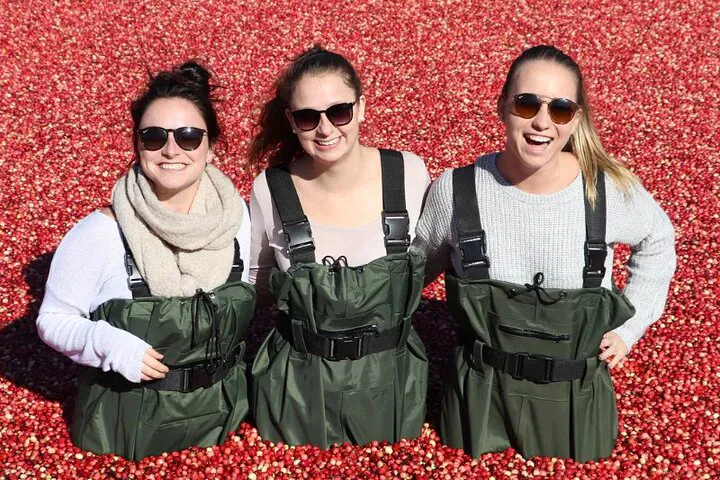 Cranberry Plunge & Muskoka Hike: Fall Adventure!
