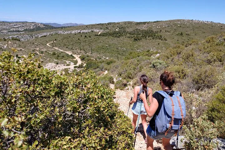 Step into Provence: Hike the Scenic Trails of Marcel Pagnol's Films