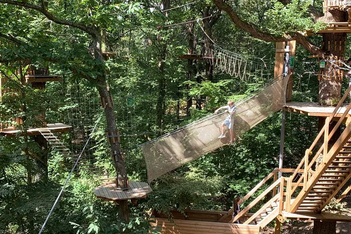 Conquer the Canopy: Thrilling Tree Top Adventures in Meudon Forest!